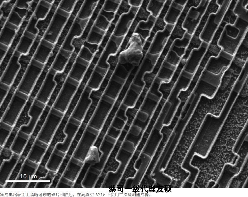 日照蔡司日照扫描电镜EVO