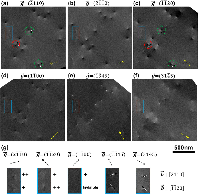 场发射日照扫描电镜