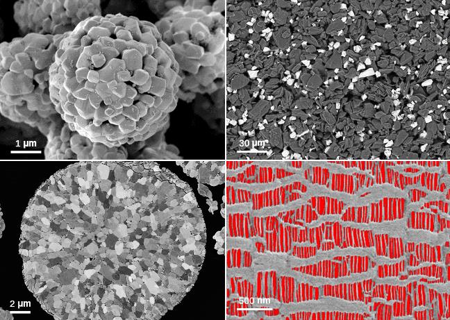日照蔡司日照扫描电镜