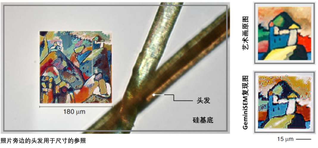 日照蔡司日照扫描电镜