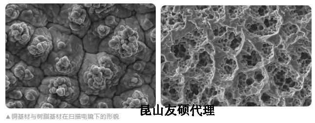 日照蔡司日照扫描电镜